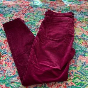 JCREW Velvet Pants